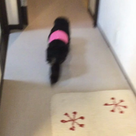 ご報告＼(^o^)／の画像