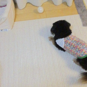 うらん悶えるの画像