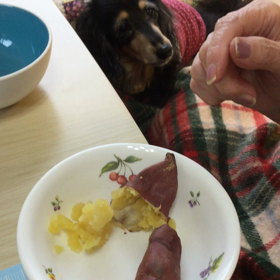 焼き芋を食べる！動画の画像