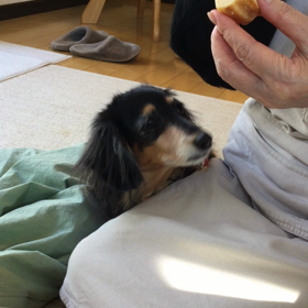 良いコは真似しちゃダメよ！の画像