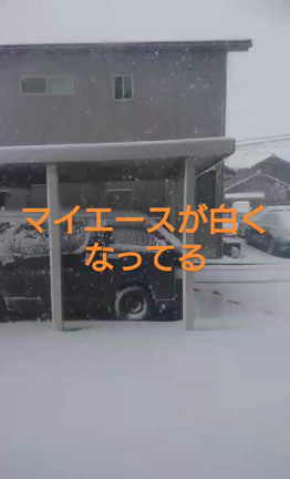 真っ白(笑)の記事動画