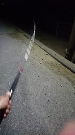 あっきーさん と魚の記事動画