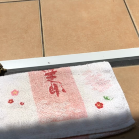 何度戻しても・・と虫の画像