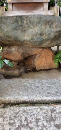 【満月】厳嶋神社(抜弁天)から神楽坂へ歩く　ちこさんポッの記事動画