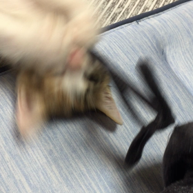 油断ならぬの画像