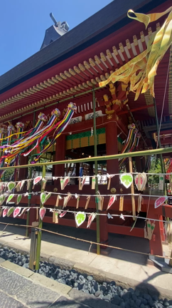 ✨七夕飾りが素敵な鶴岡八幡宮へお参りに✨の記事動画