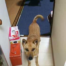 ｶﾌﾟｯの画像