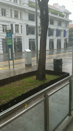 雨は…意外とすぐ止まないwの記事動画