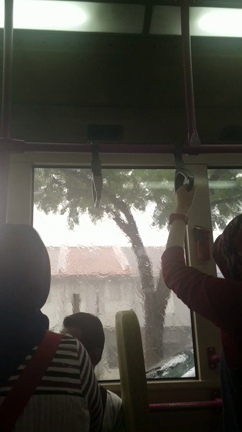 雨は…意外とすぐ止まないwの記事動画