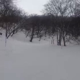 初めての動画投稿にチャレンジ♪の画像
