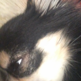 そしての画像