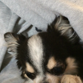 今日は何日だの画像