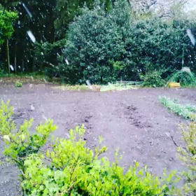 ４月の雪の画像