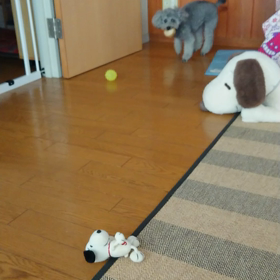 毎日暑い❗の画像