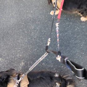 嬉しい秋風の画像