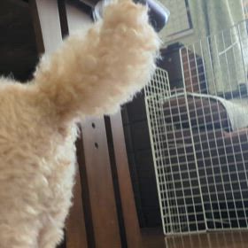 まさかのパート③の画像