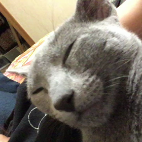 ＊いつも…＊の画像