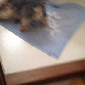 ＷＣの画像