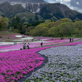 GWのスケジュールをたてるの画像