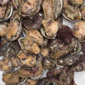 白い鏡　音12の画像