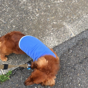 １３１＄の巻の画像