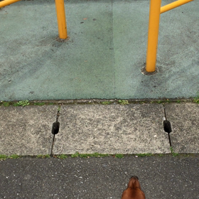 １０＄の巻の画像