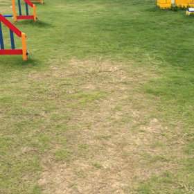 ４２２＄の巻の画像