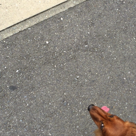 １７３＄の巻の画像