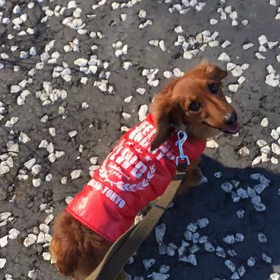 ３０１＄の巻の画像