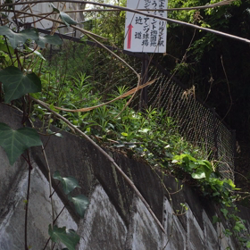 ２８＄の巻の画像