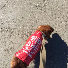 ３０２＄の巻の画像