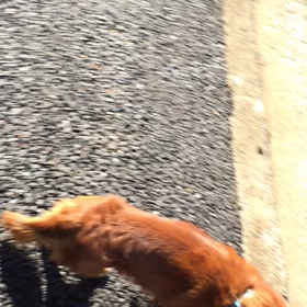 ３０５＄の巻の画像