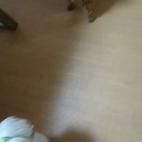 おやつタイムの画像