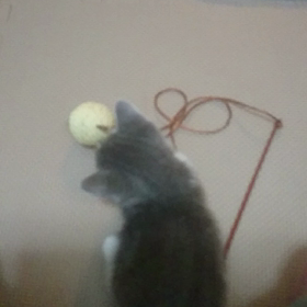 ボール遊びの画像