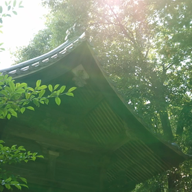 感じるままにの画像