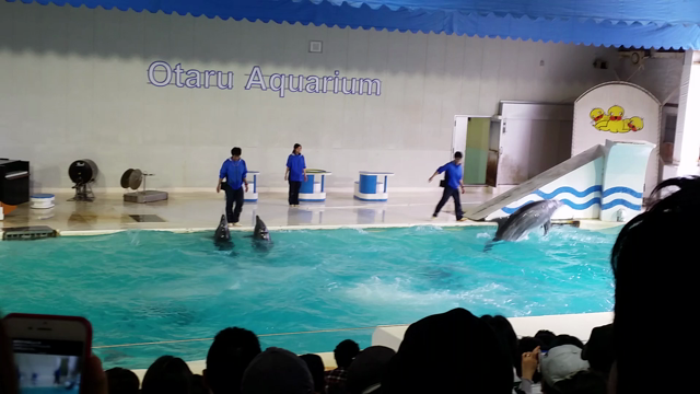 おたる水族館の記事動画