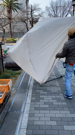テント飛んで来たの記事動画