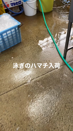 明日16日は娘の大事な日なので休みます。の記事動画