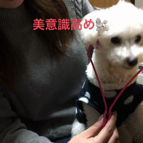 団欒の画像