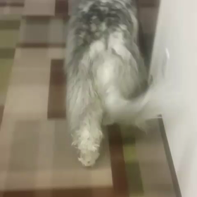 仕事  (￣∀￣)の画像