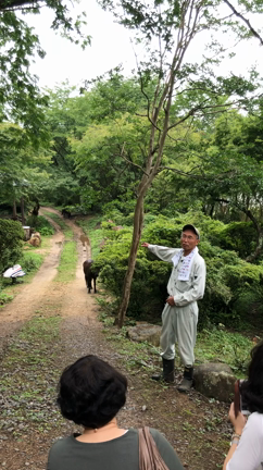 仲間との出発の記事動画