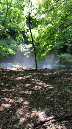 浮き足立つの記事動画