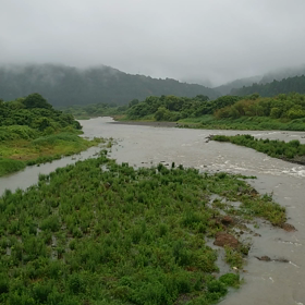 また増水〜の画像