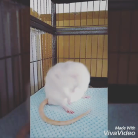 ズッコケ らっと～マチャアキと呼んで～の画像