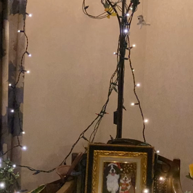 クリスマスの重大ニュースの画像