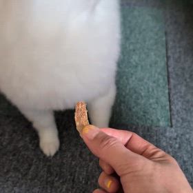 ルフィの伝え方の画像