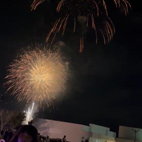 2024初花火の画像