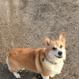 投げて、投げて！の画像