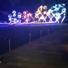 イルミ花火♡ムービーの画像
