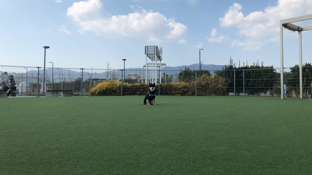 富士山のふもとへ。の記事動画